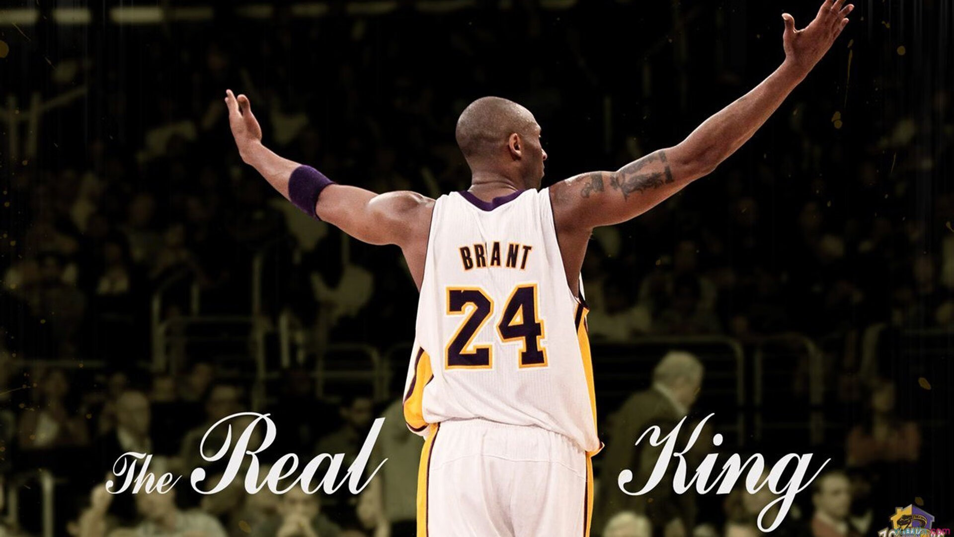 体育界最大新闻曝光